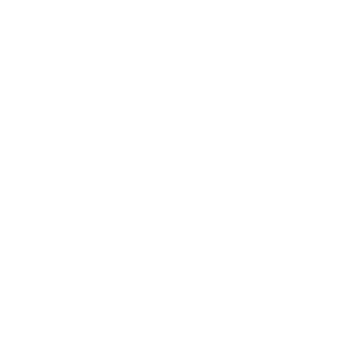 Trucking Expertise Icon